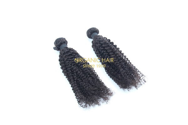 Wholesale brazilian curly hair extensions